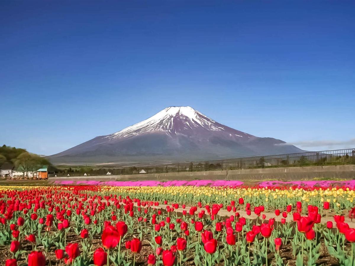 Yamanakako Pension Pause Экстерьер фото